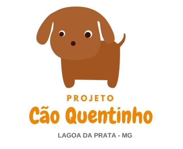 Voluntários de Lagoa da Prata lançam campanha “Cão quentinho” para arrecadar doações para pets de rua