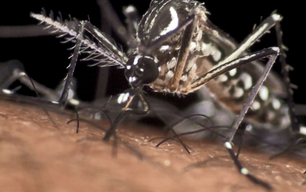  MG decreta situação de emergência em saúde pública devido à dengue