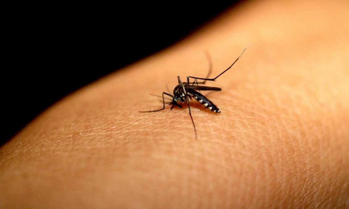  Mais de 600 casos prováveis de dengue são descartados em Lagoa