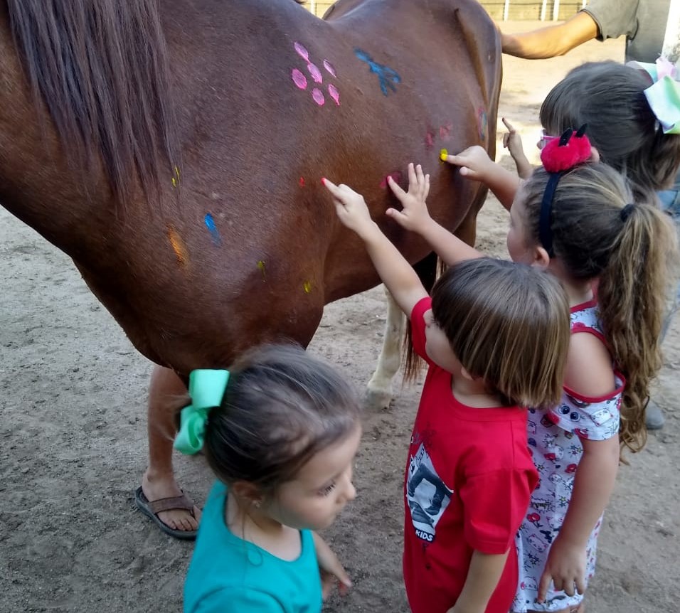  Bingo em Lagoa da Prata terá renda destinada para centro de equoterapia