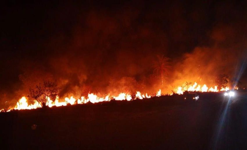  Dias cada vez mais quentes: ambientalista afirma que queimadas interferem no clima