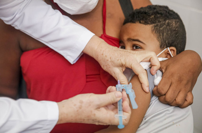  Campanha de vacinação contra a gripe começa nesta segunda-feira (12)