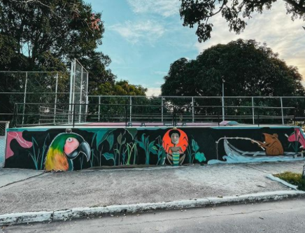  Grafiteiro de Lagoa da Prata e artistas venezuelanos são os autores da ‘street art’ na pista de skate