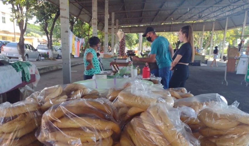  “Às quartas temos feirinha”! Feira Municipal é ampliada; veja a programação