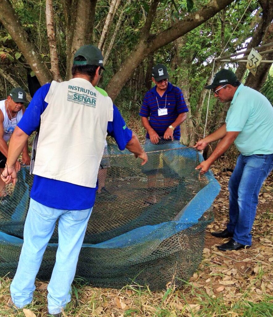 beneficiamento de peixes