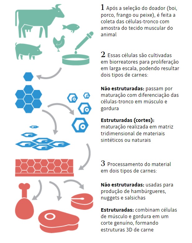 infográfico