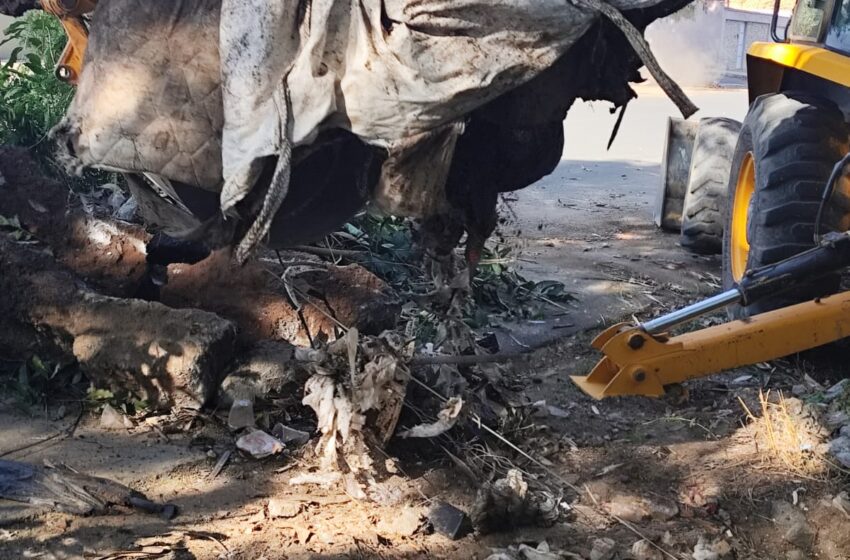Ação retira toneladas de lixo de nascente da Praia Municipal de Lagoa da Prata